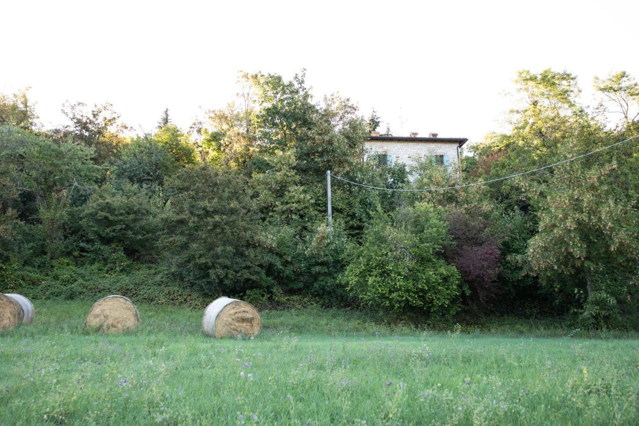 La Marcona Appartement Serramazzoni Buitenkant foto